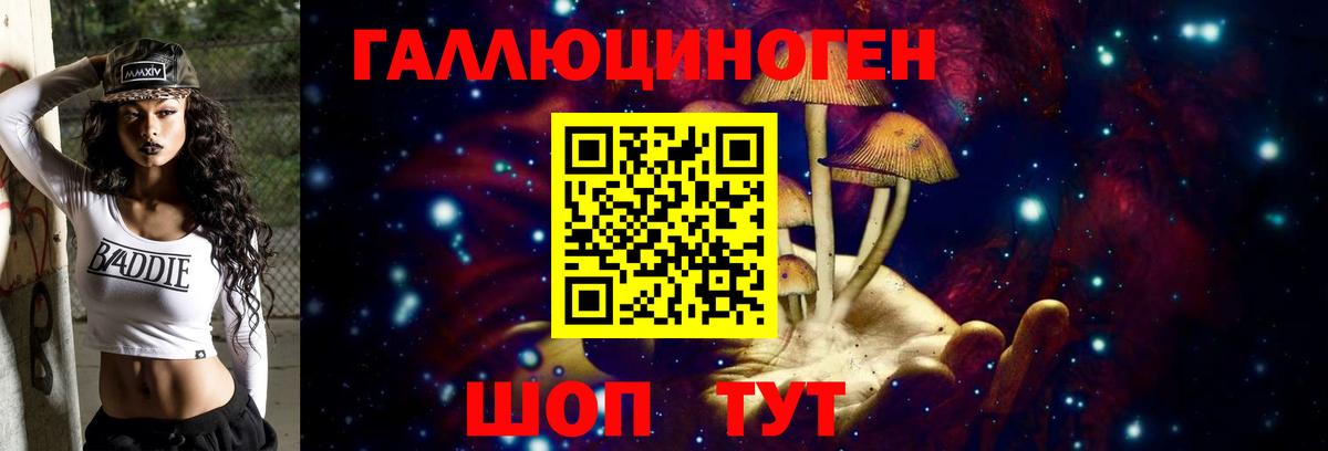 Галлюциногенные грибы прущие грибы Петропавловск-Камчатский